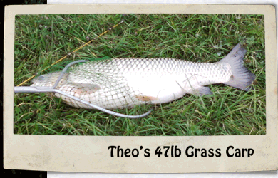 Grass Carp caught by Stubby Steve's fish lure