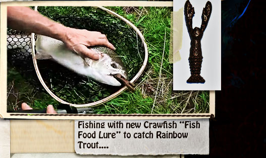 Using our new Fish Food Lure "Crawfish" to catch a rainbow trout...