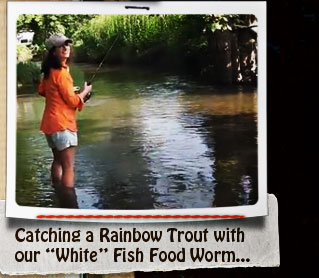 rainbow trout caught with our "White" Fish Food worms.....