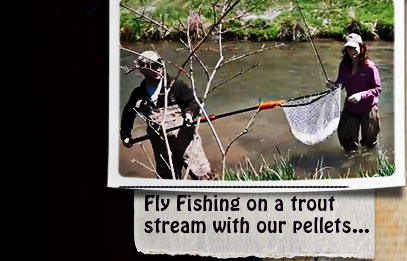 fly fishing to catch a rainbow trout