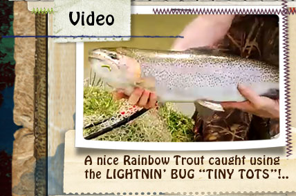 VIDEO - A nice Rainbow Trout caught using LIGHTNIN' BUG "Tiny Tots"....