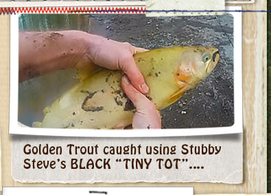 VIDEO - a Golden Trout caught using BLACK "Tiny Tots"....