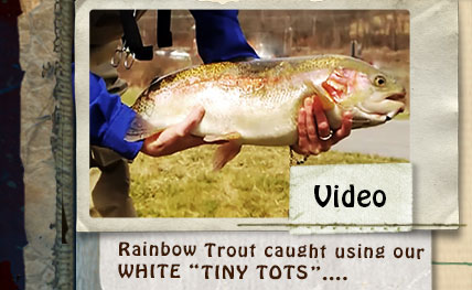 VIDEO -  Using WHITE "Tiny Tots" to catch a Rainbow Trout...
