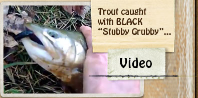 VIDEO - A Trout caught using BLACK "Stubby Grubby"....