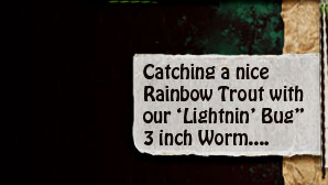 a nice rainbow trout caught using our "Lightnin' Bug" Fish  Food Worms
