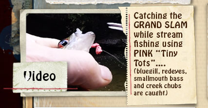 VIDEO - Using DARK PINK "Tiny Tots" to catch the "GRAND SLAM"  stream fishing....