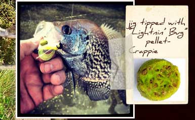 "Lightnin' Bug" pellet caught a crappie (catches lots of crappie!)