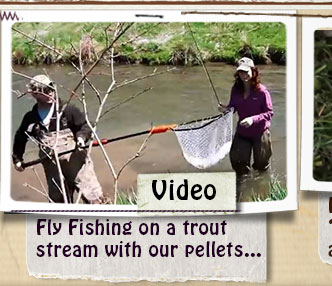 VIDEO - Fly Fishing using ORIGINAL BROWN "Fish Food Pellet"
